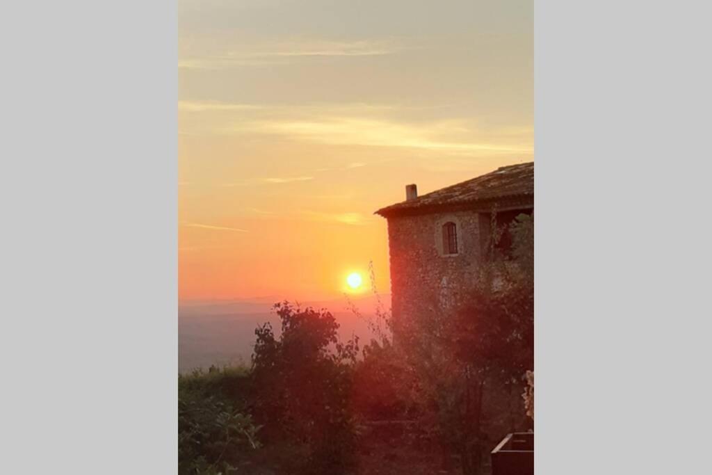 Gite Provencal Independant Avec Piscine Chauffee : Le Suy Bien Flayosc Exterior foto