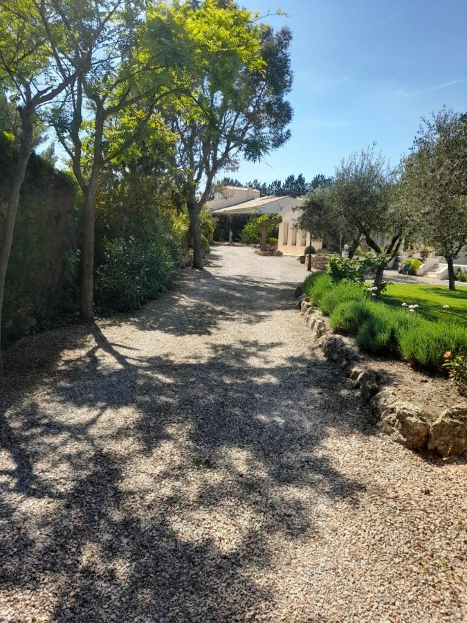 Gite Provencal Independant Avec Piscine Chauffee : Le Suy Bien Flayosc Exterior foto