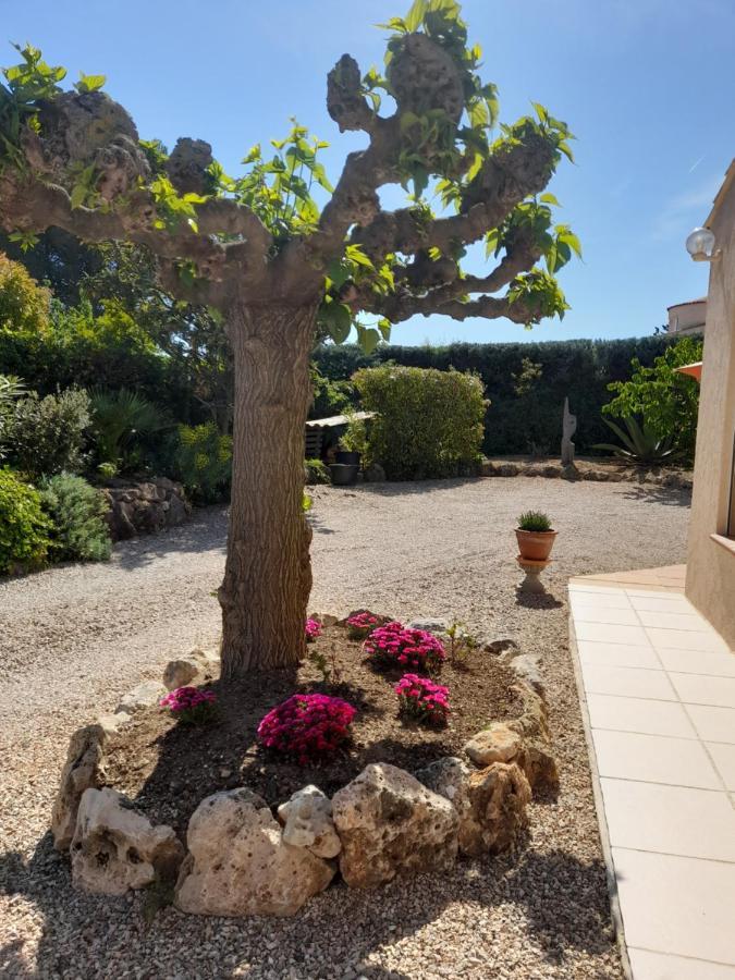Gite Provencal Independant Avec Piscine Chauffee : Le Suy Bien Flayosc Exterior foto